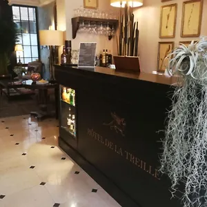 Hotel De La Treille, Lille